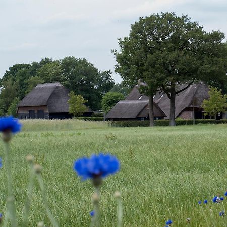 Gastenverblijf Lheederhof Двингелоо Екстериор снимка